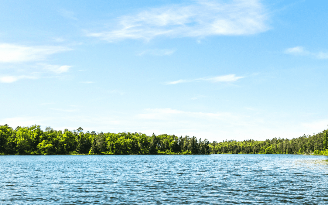 Discovering the Charms of Maple Lake and Loon Lake