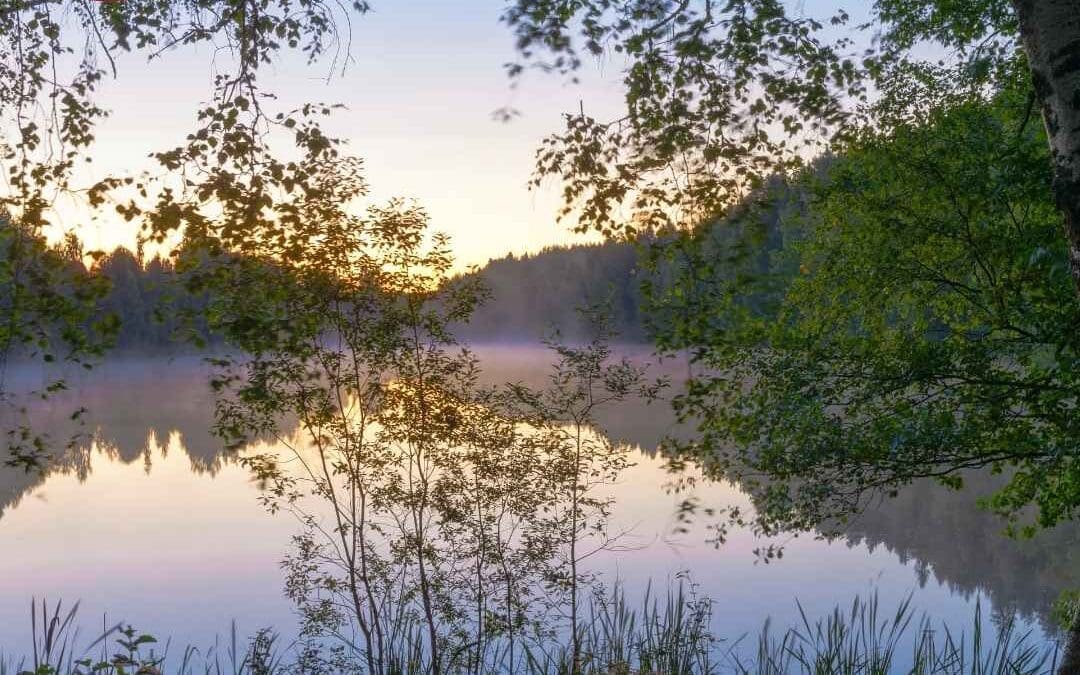 August Market Reflections